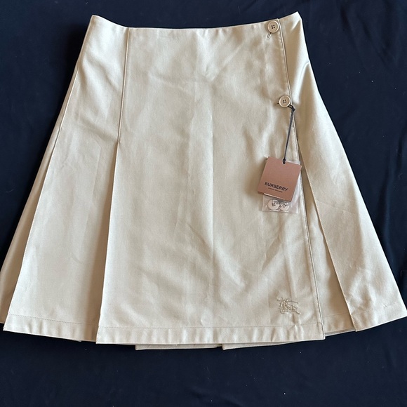 Burberry Dresses & Skirts - Burberry uniform Light Sage called Hunter green by Burberry A-Line Skirt size 10